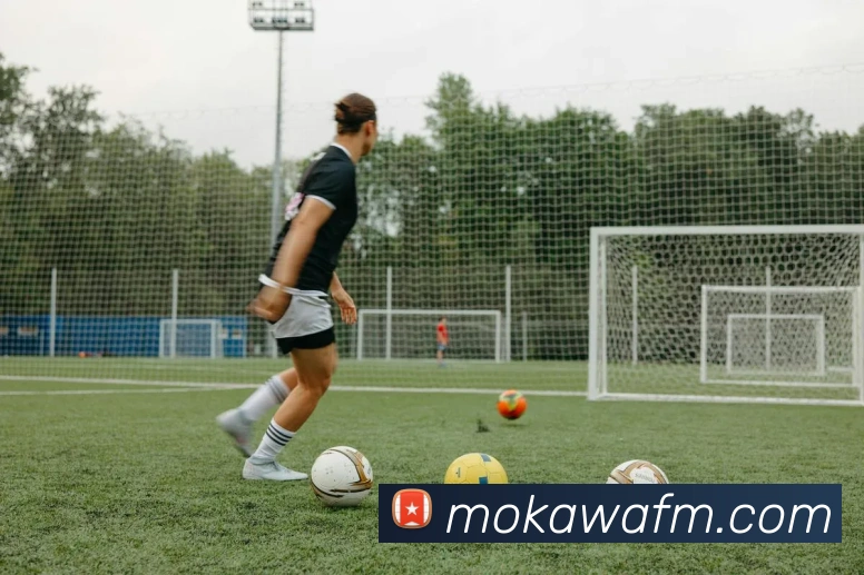 登录器