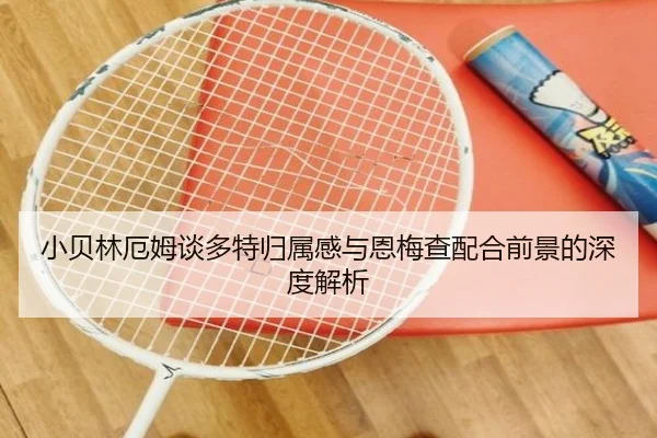 小贝林厄姆谈多特归属感与恩梅查配合前景的深度解析