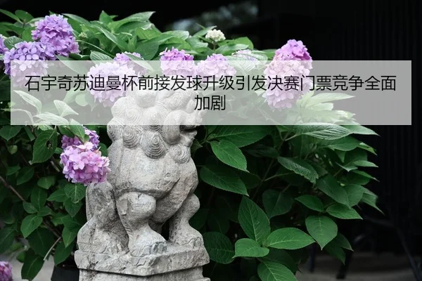 石宇奇苏迪曼杯前接发球升级引发决赛门票竞争全面加剧